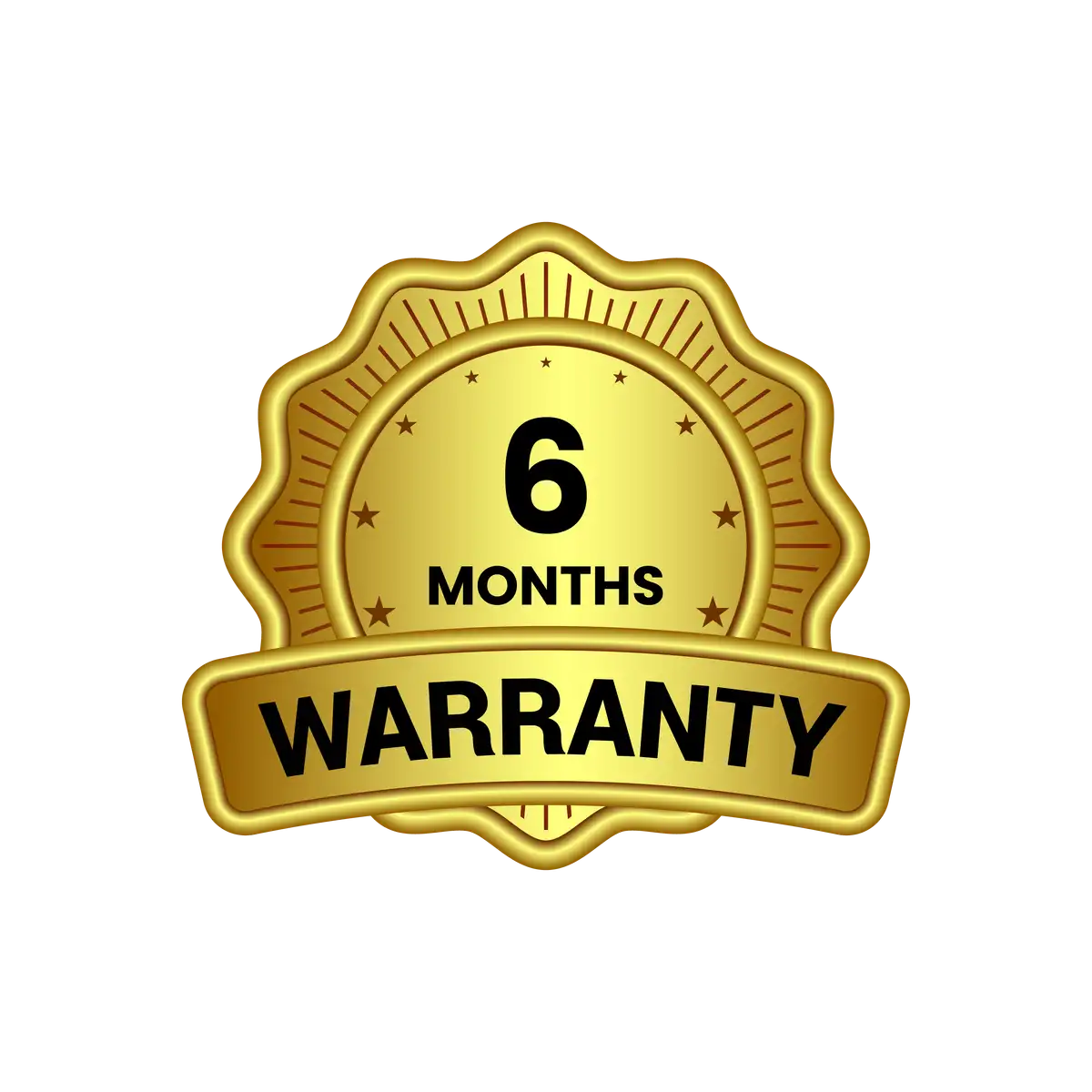 6M Warranty